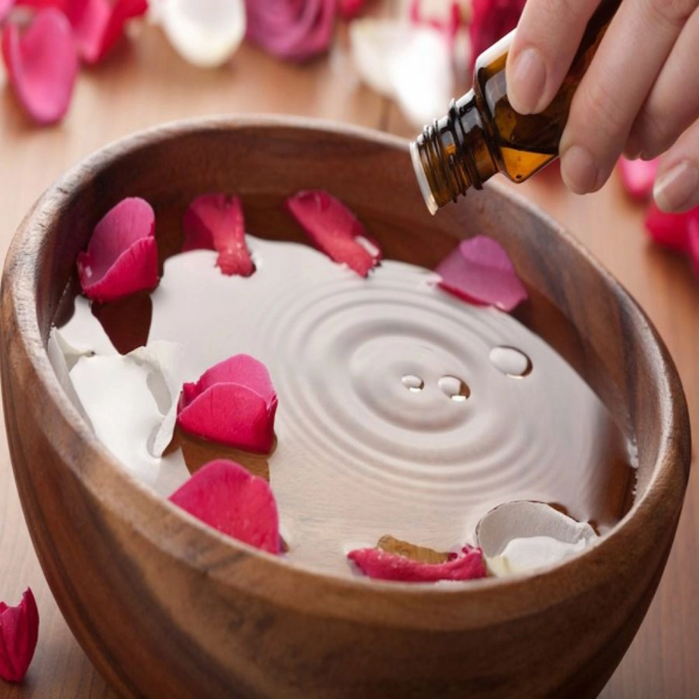 فروش عمده غنچه گل محمدی