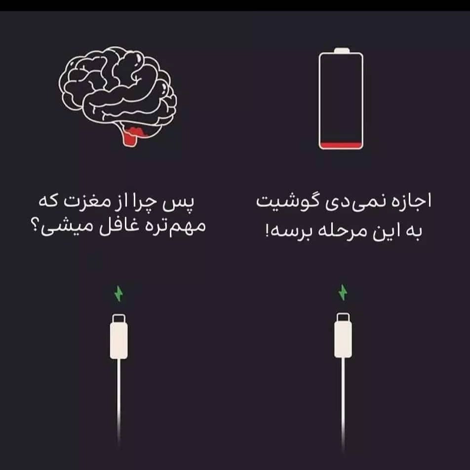 1762258543052.webp