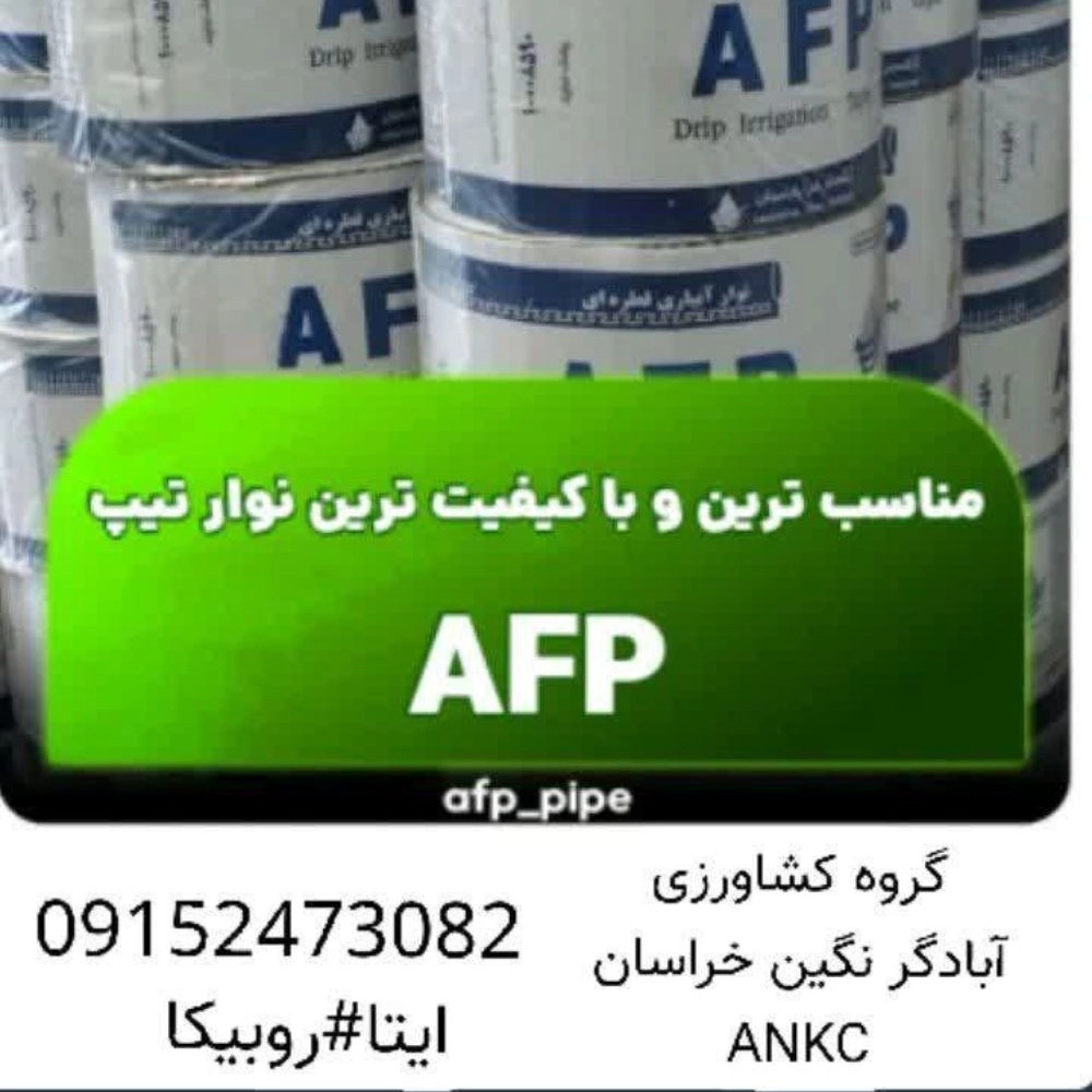 1763017874284.webp