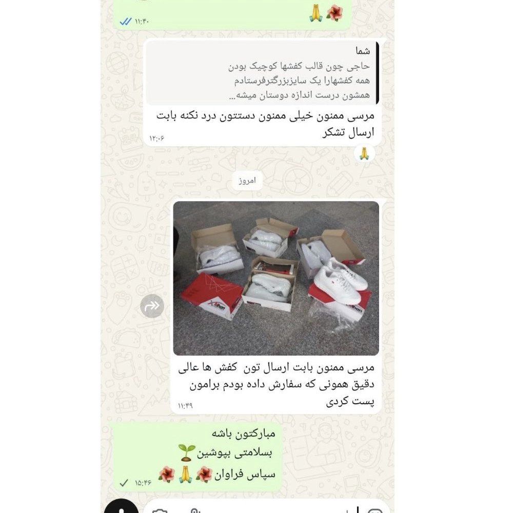 1765709478870.webp
