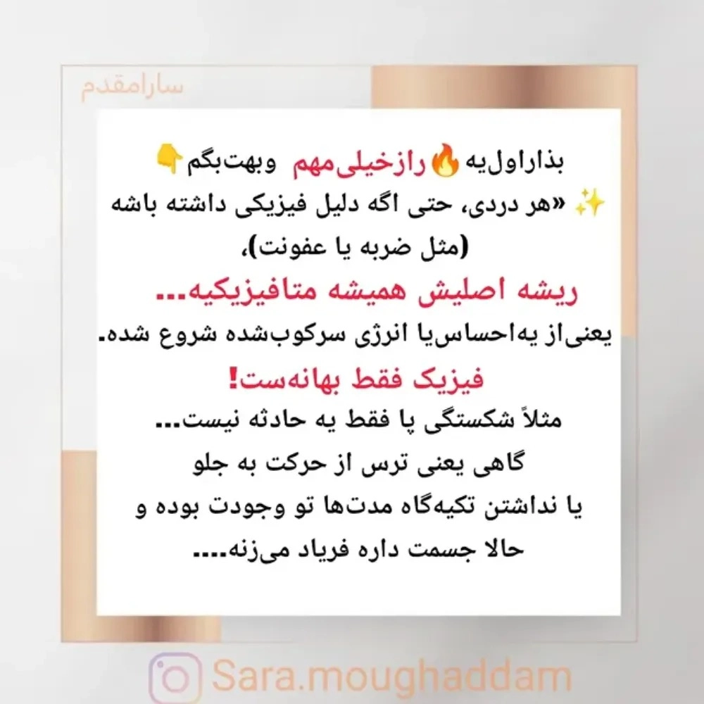 1765964304277.webp