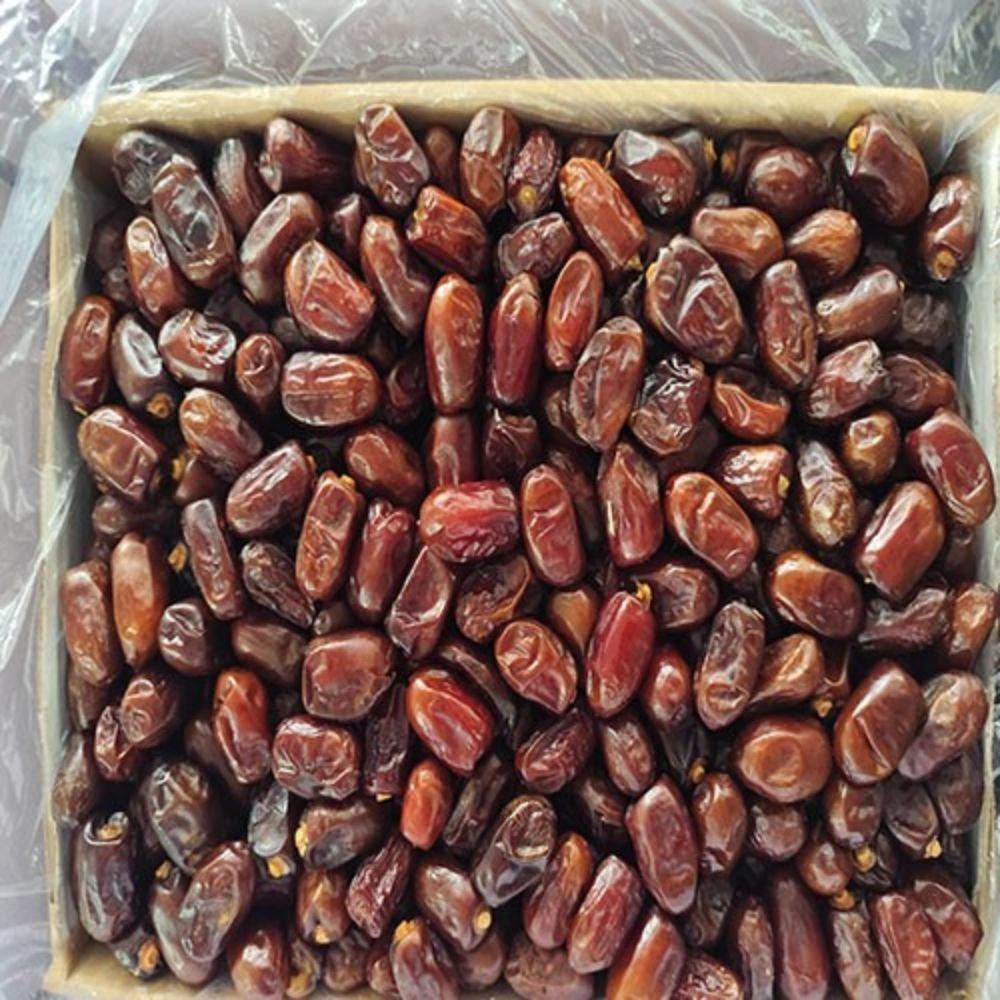 صادرات خرما مضافتی صادرات خرما مضافتی