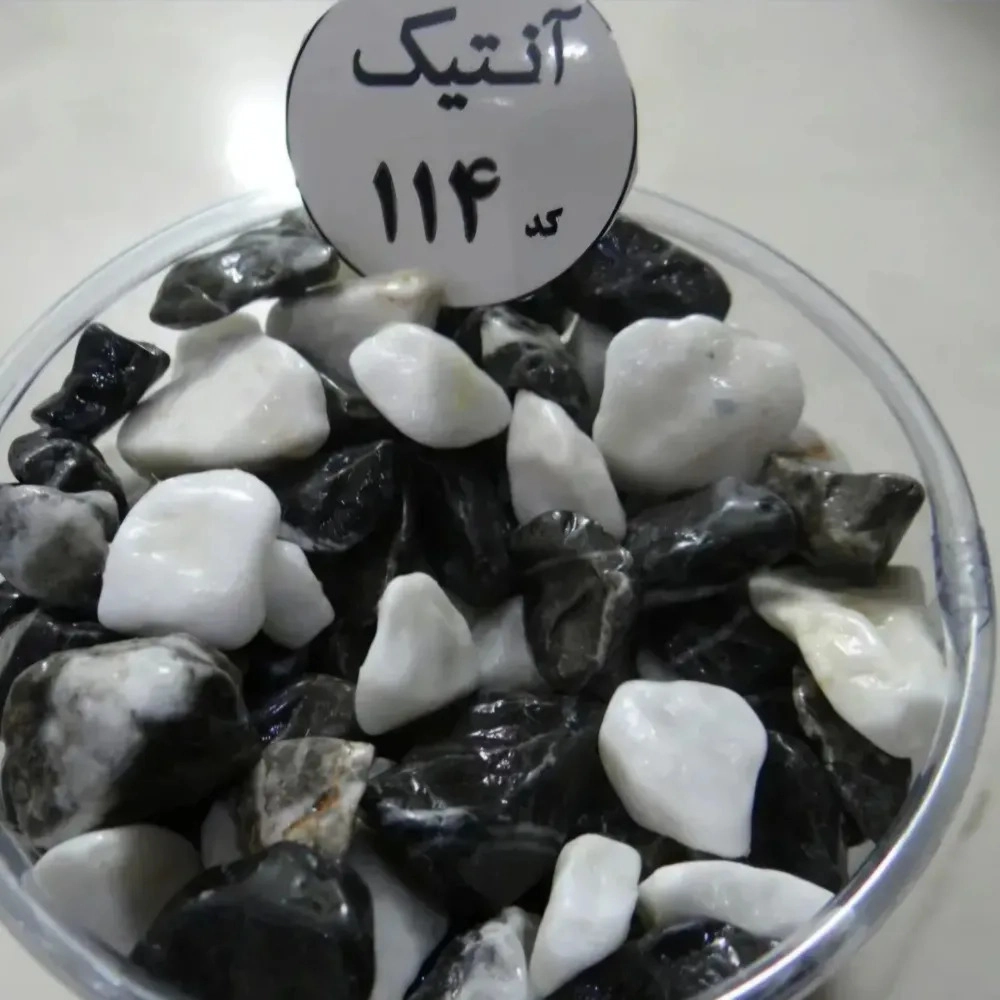 فروشگاه آکواریوم اقیانوس آبی سیرجان