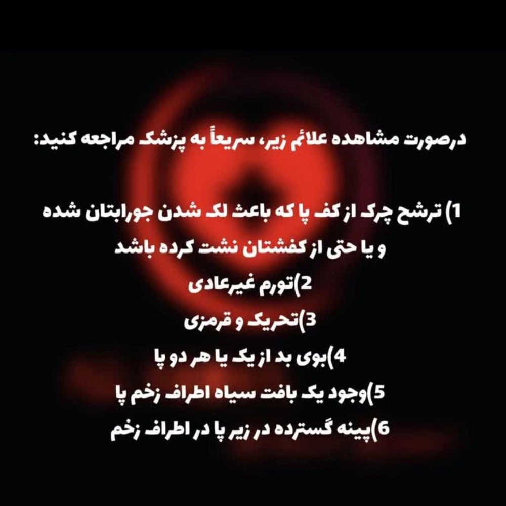1772004219239.webp
