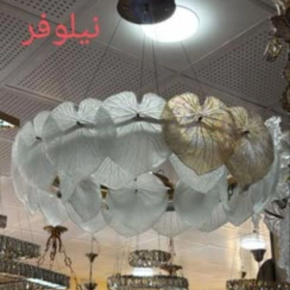 1772261116611.webp