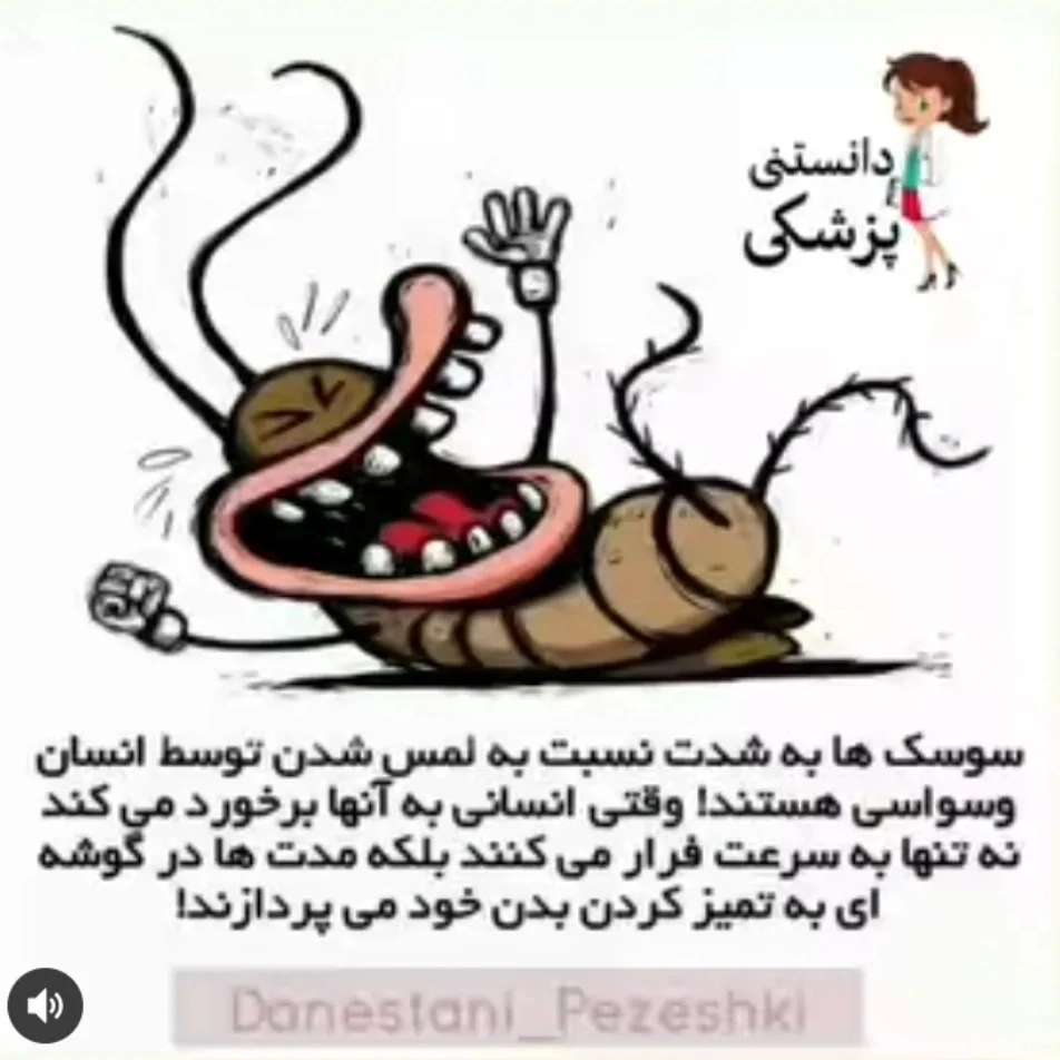 1773652295785.webp