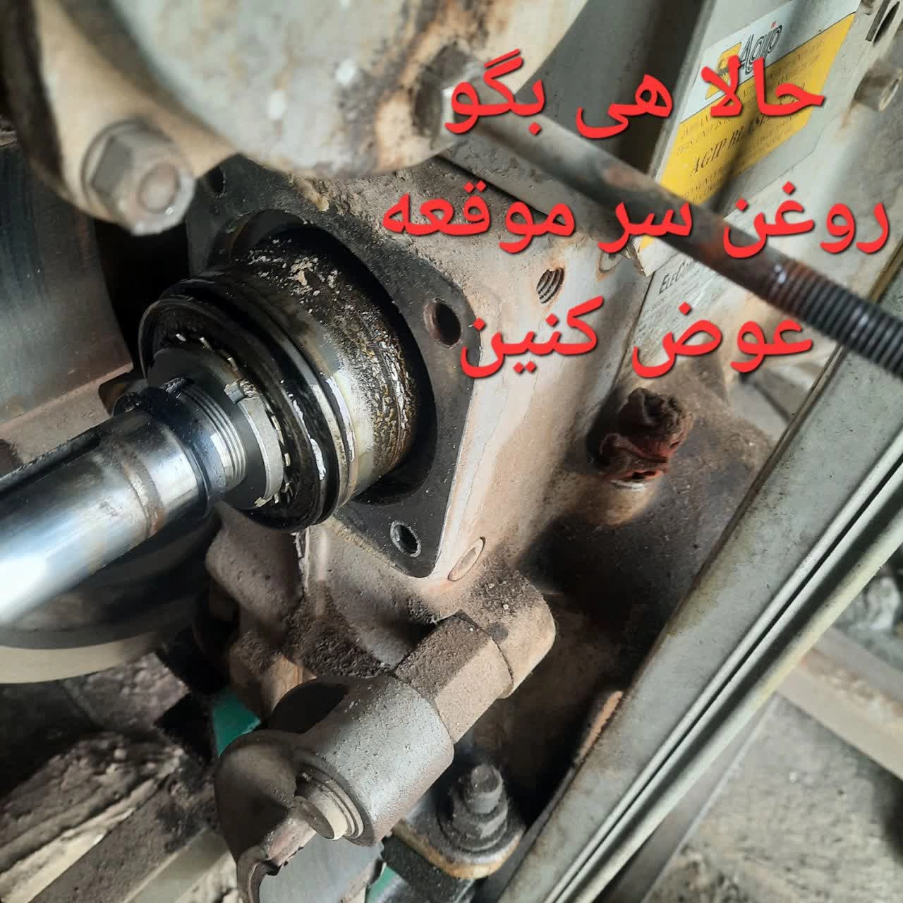 1777187562523.webp