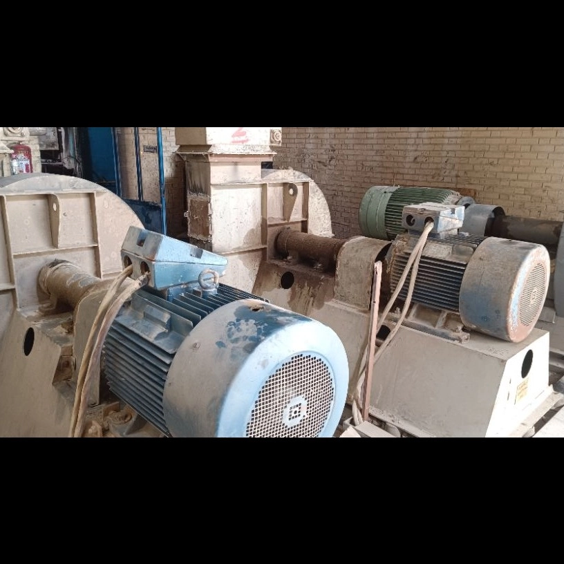 1777488883608.webp