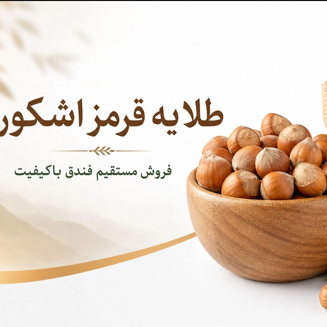 1784919816654.webp