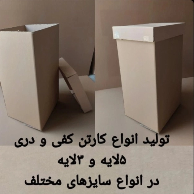 1790067310240.webp