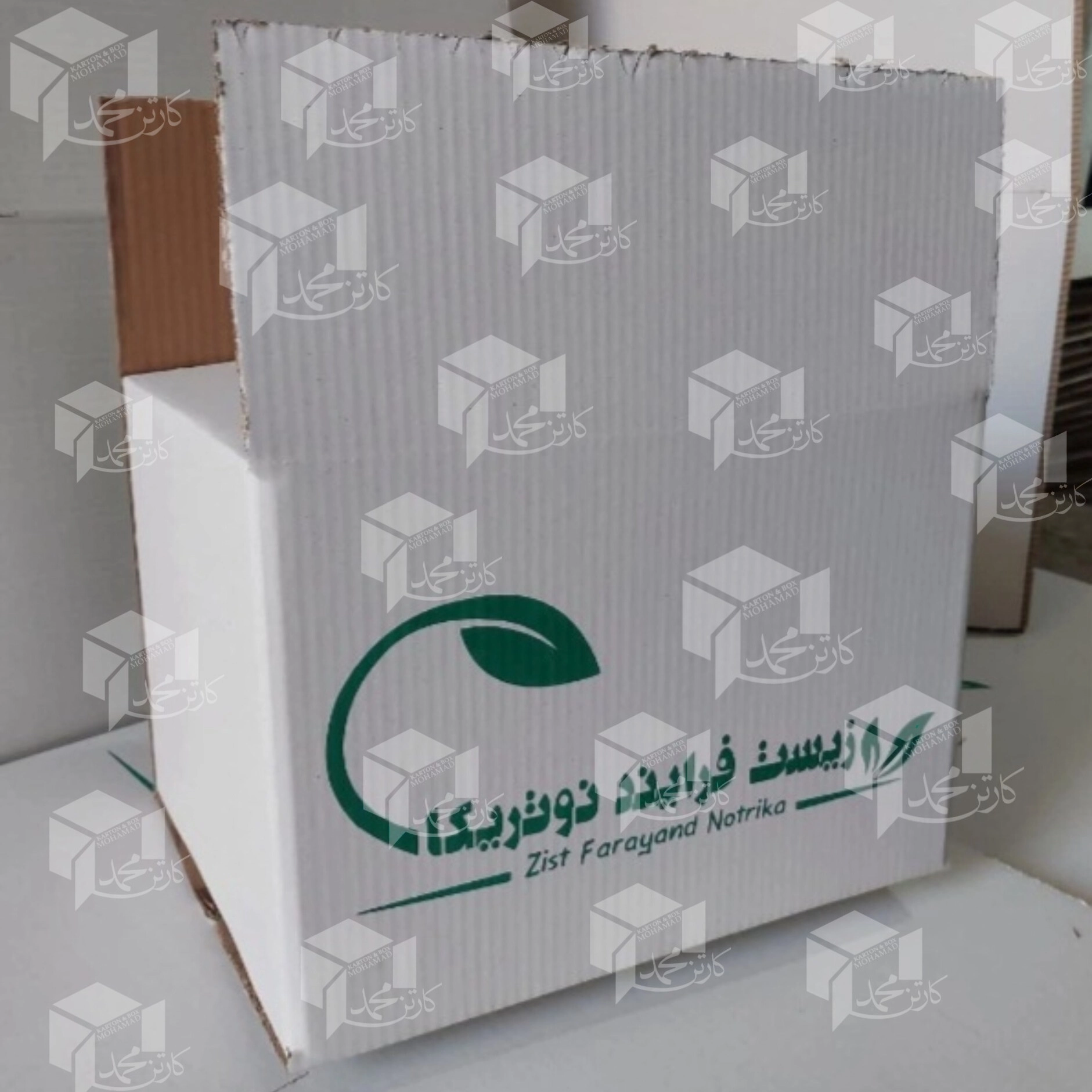 1790068287633.webp